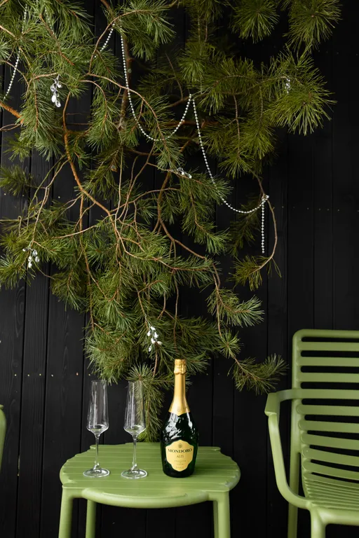 Умный дом с сауной и купелью