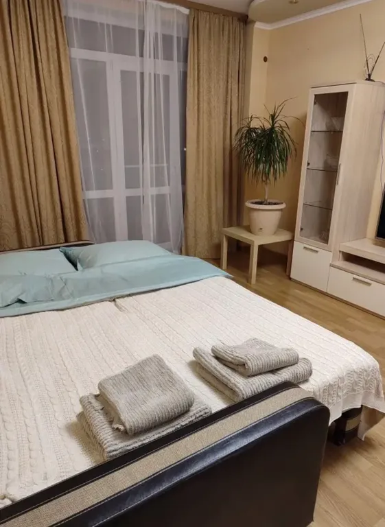 Уютная просторная квартира в центре города