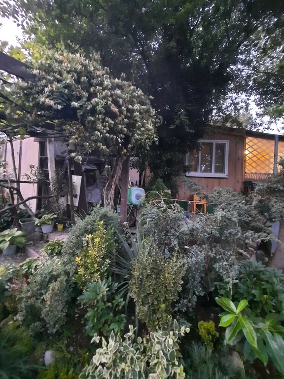 Домик на черном море