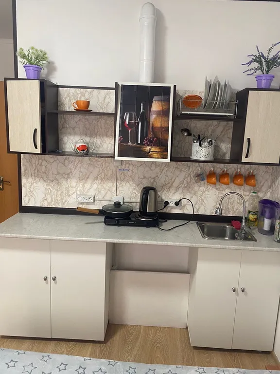 Уютная благоустроенная студия с видом на горы