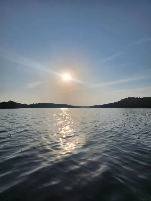 Дом с березками