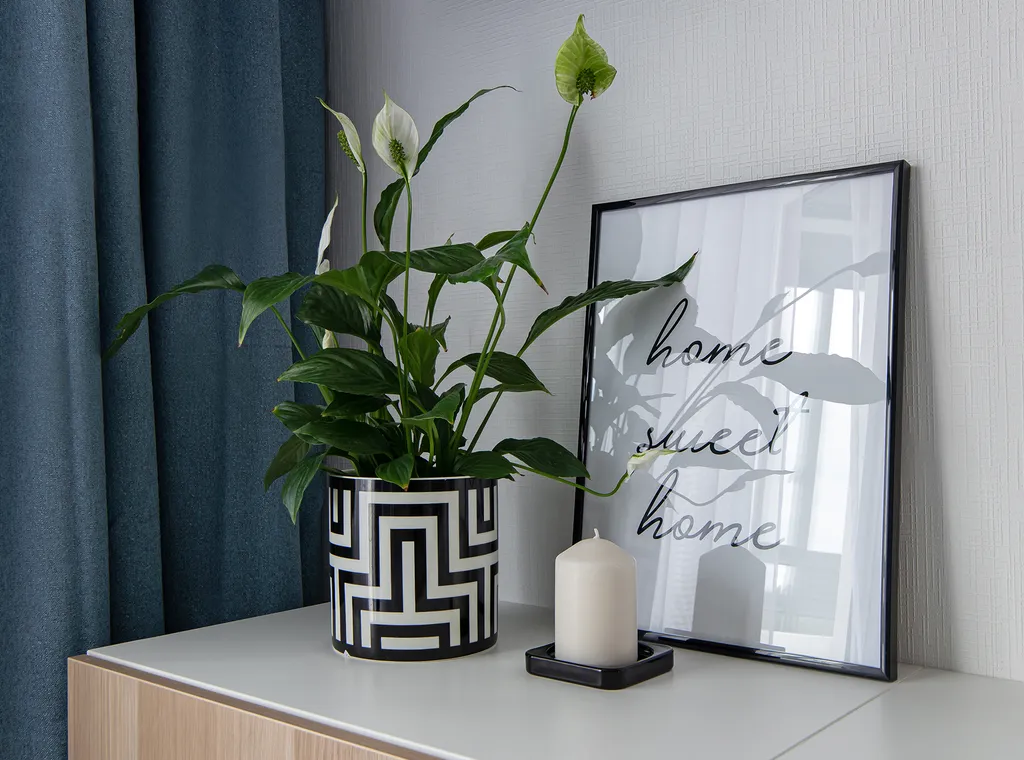 Квартира Квартира Видовая студия в посёлке Песочный — Песочный