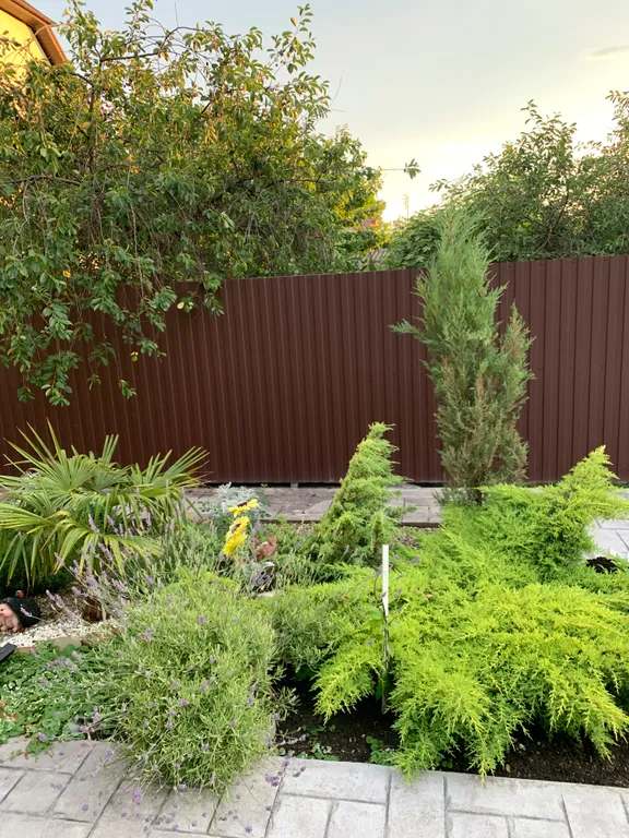 Апартаменты morozoff