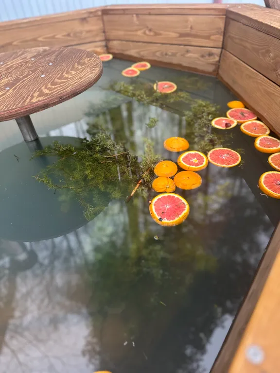 Гостевой дом А-фрейм в центре леса