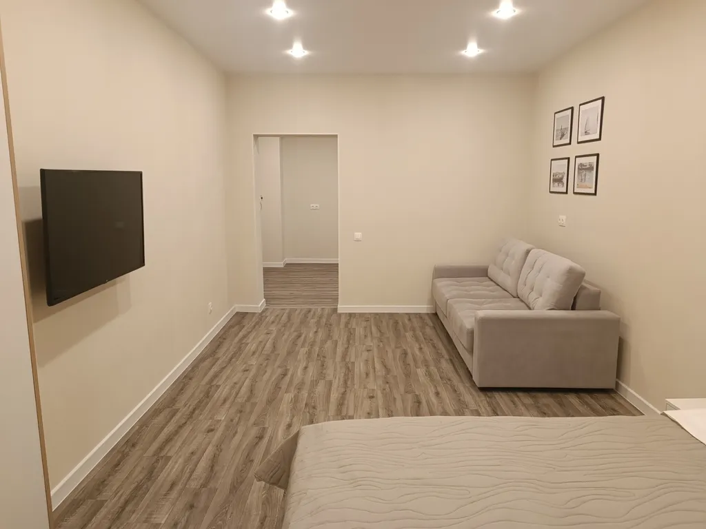 Большая современная 1-комнатная квартира