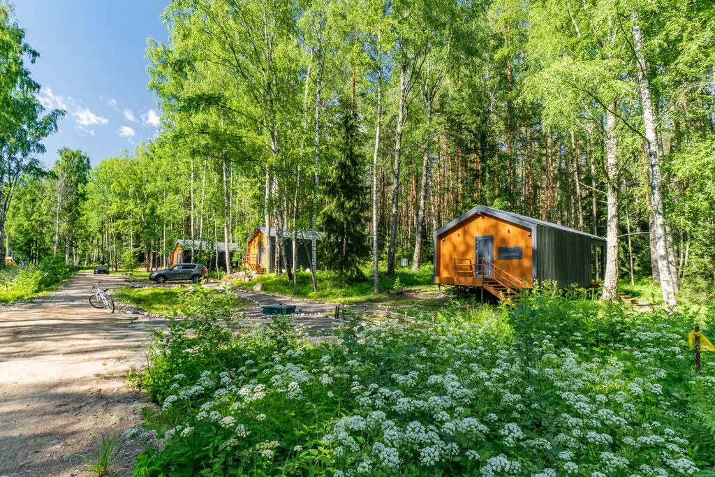 Дом с видом на лес