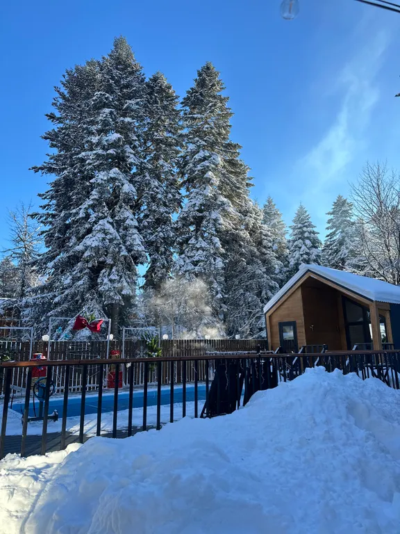 А-фрейм 3 с видом на горы и лес