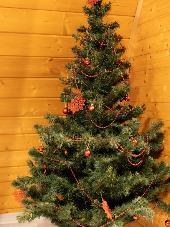 Уютный треугольный дом в окружении леса