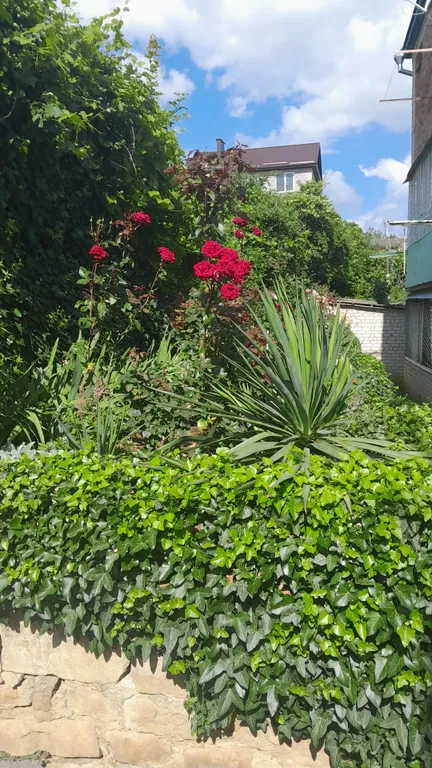 Комната в доме без хозяина в 5 минутах ходьбы от парка