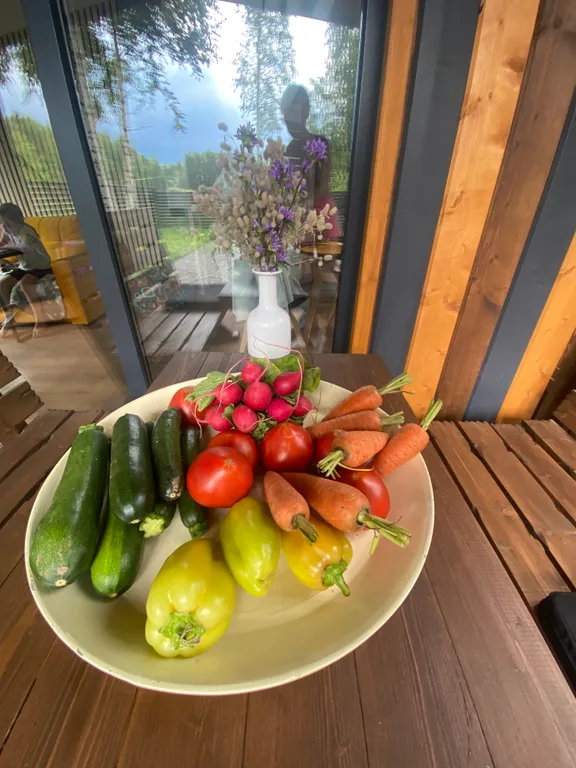 Домик в березах с баней