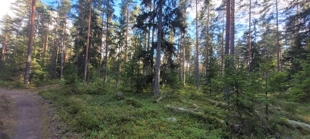 Уютный домик с сауной у реки