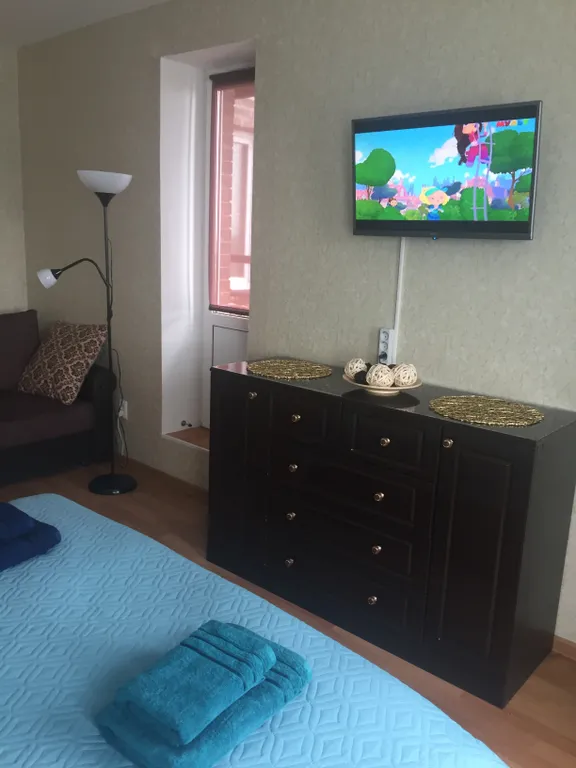 Уютная квартира на Парнасе