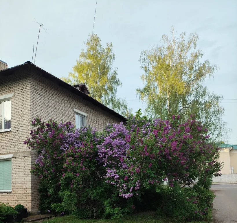 Апартаменты в районе Дома паломника