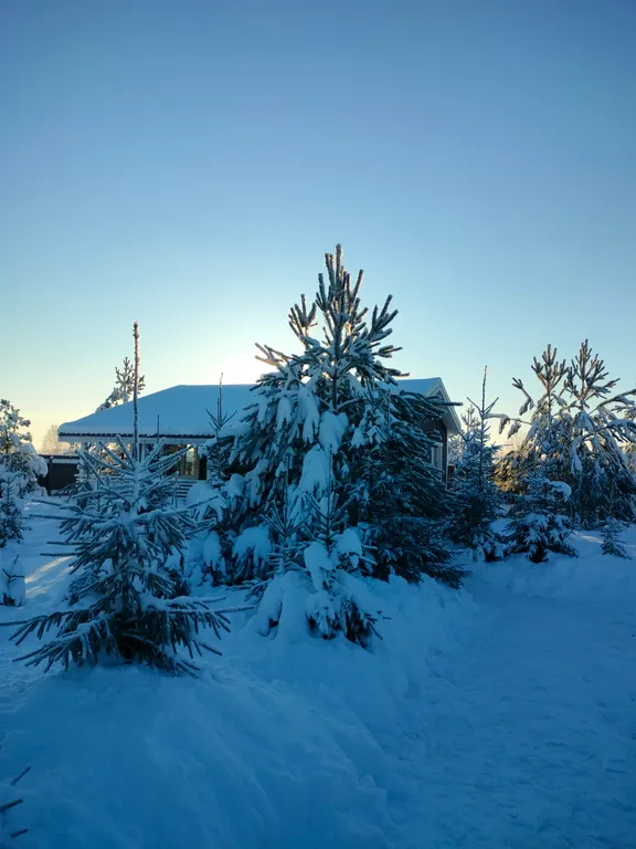 Коттедж Уютный дом у озера — Волосово