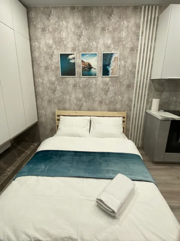 Уютная квартира в центре города — аренда посуточно в Тольятти