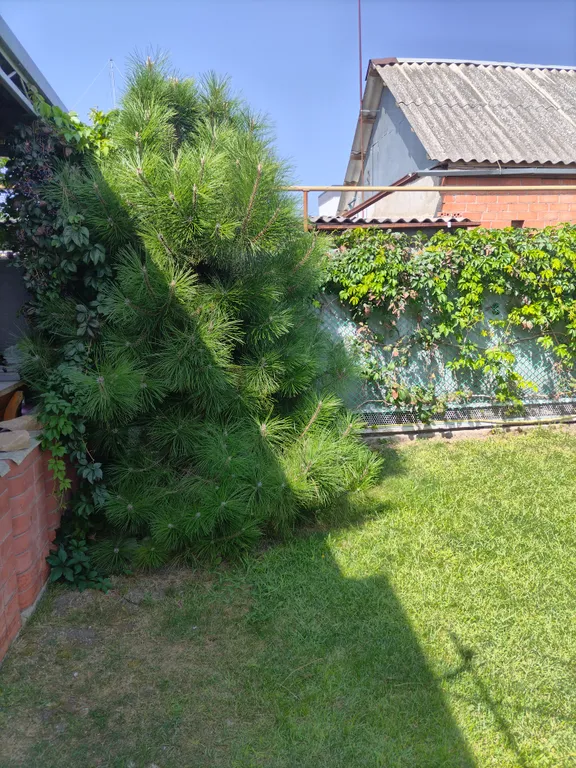 Уютные номера с удобствами рядом с морем