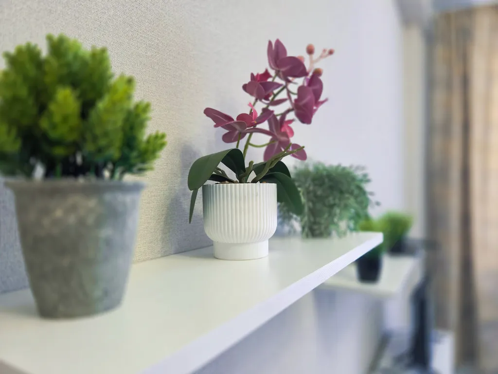 Студия около БСМП