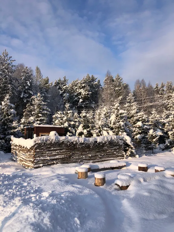 Уютный дом с баней и чаном в лесу