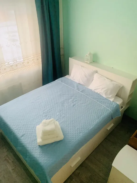 С питомцами, можно!