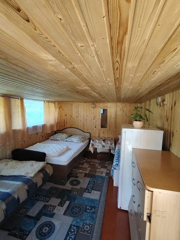 Летний номер с видом на березовый лес