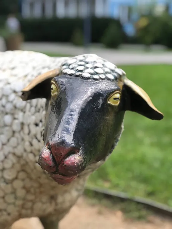 Квартира в центре города