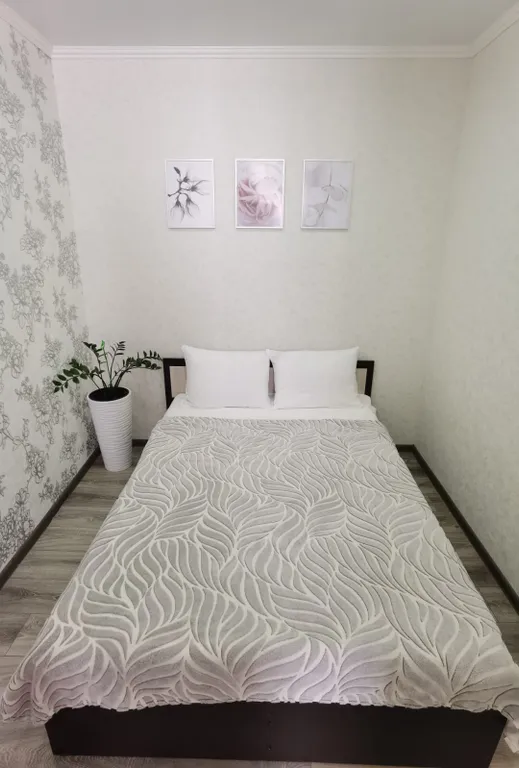 Квартира Уютная 1-комнатная квартира с отдельной спальней — Анапа