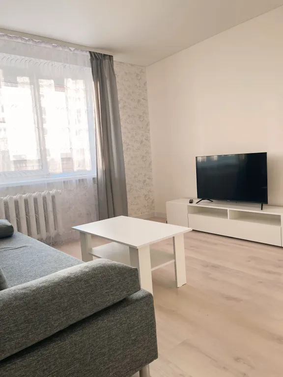 Уютная однокомнатная квартира