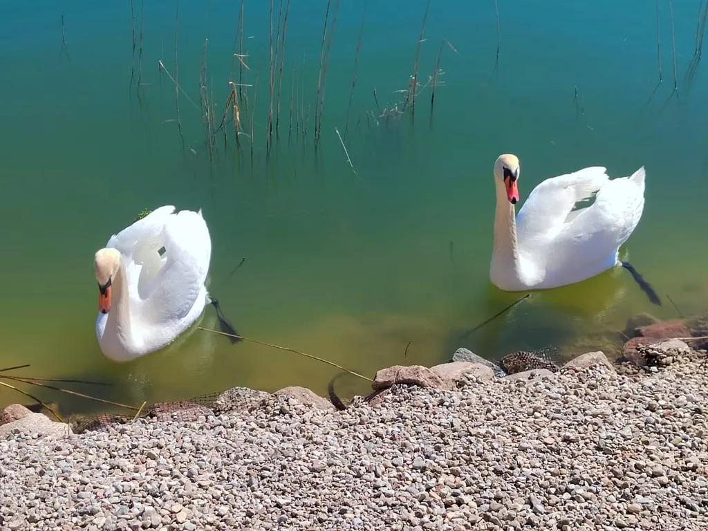 Коттедж Дом на берегу озера с банным чаном — Сокольники
