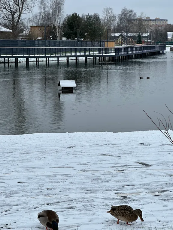 Коттедж Однокомнатный Loft-таунхаус с отдельным входом и личным двориком — Нахабино