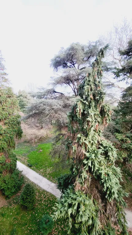 Квартира 1-комнатная Квартира — Адлер