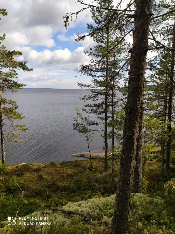 Уютный дом на Онежском озере