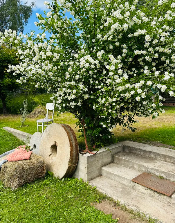 «Уютный дом с видом на Волгу»