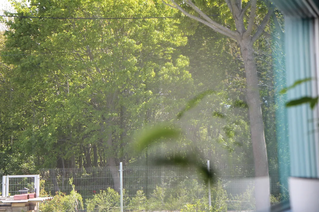 Гестхаус Сон и Море