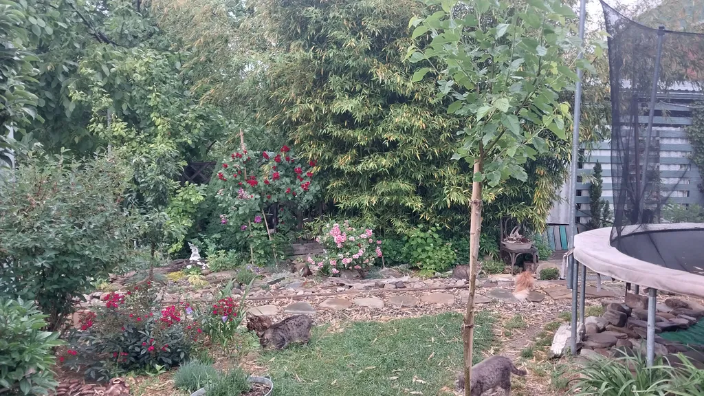 Домик и дворик Персиковая поляна