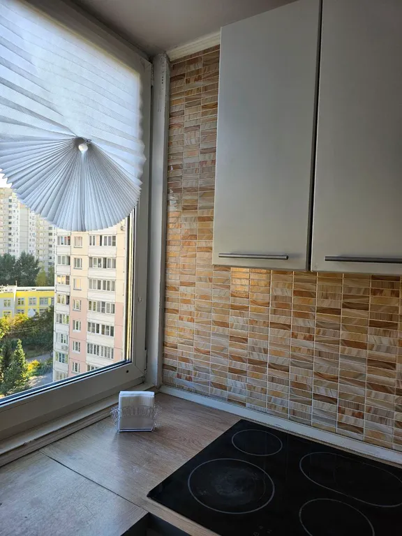 Уютная однокомнатная квартира