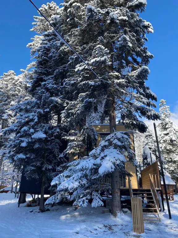 Уютный дом с прекрасными видами