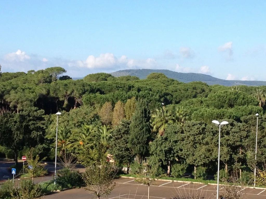 4-комнатная Квартира