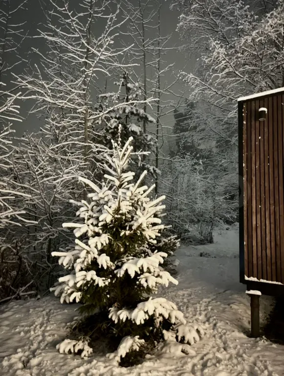 Коттедж Дом с ванной — Орехово