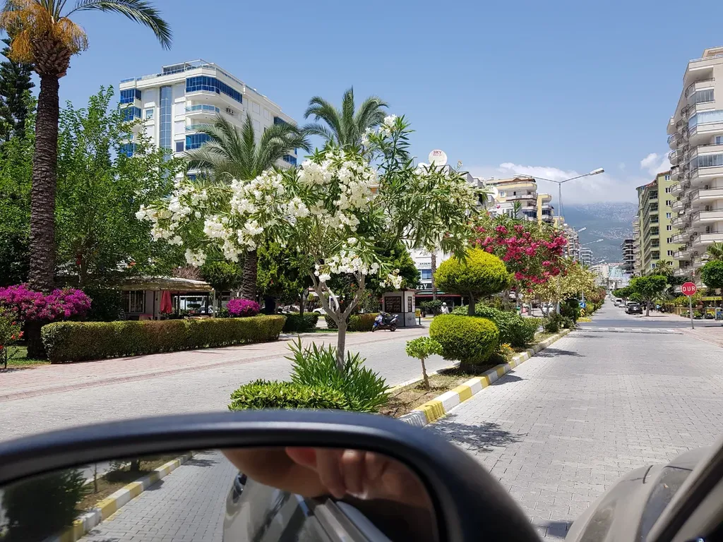 Просторные апартаменты