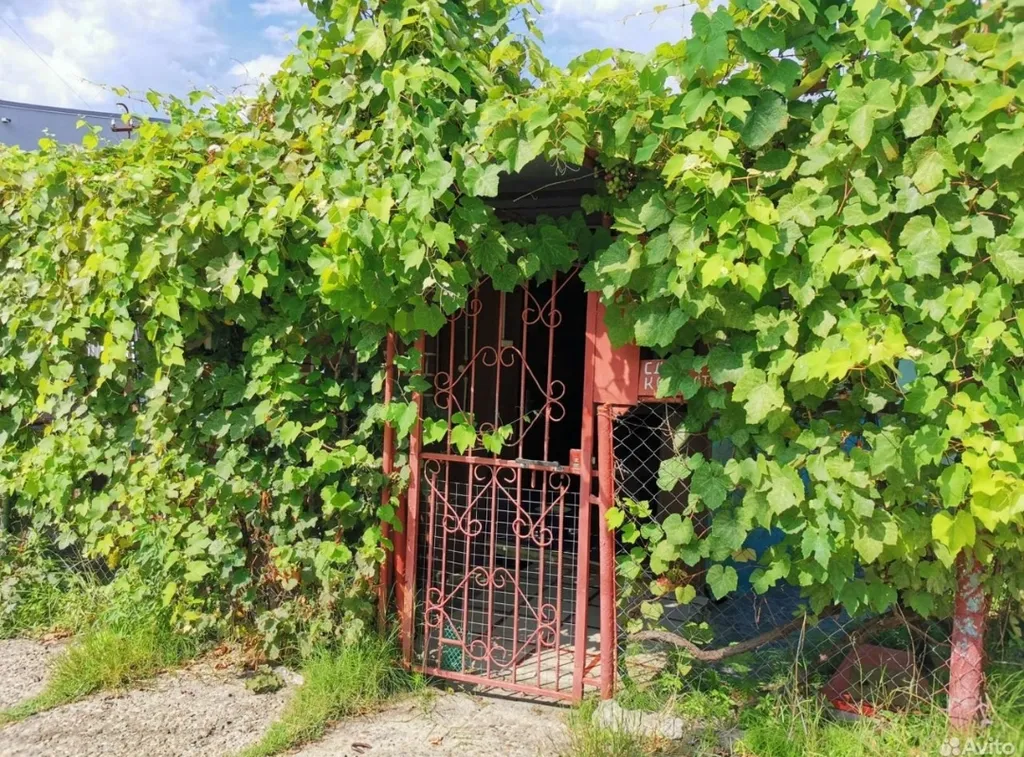 Коттедж Уютный домик возле моря — Сочи