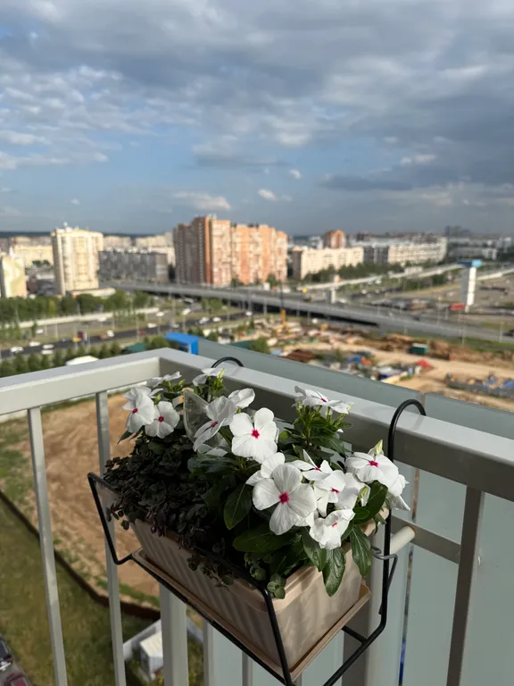 Квартира Уютная видовая квартира в новомЖК рядом сМегой с запахом кофе по утрам — Казань