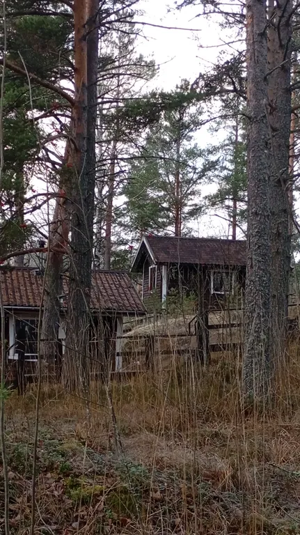 Коттедж на скале