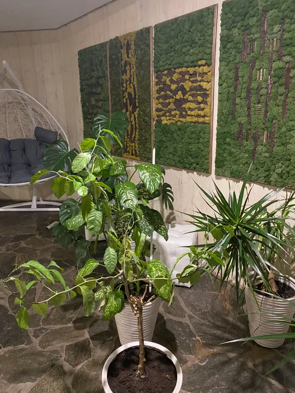 Уютный Дом Шале для семейного отдыха или в компании близких друзей