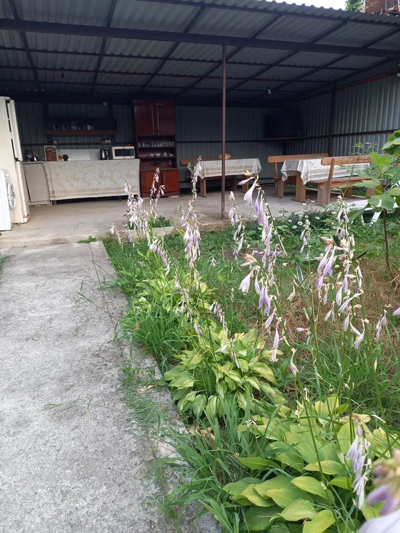 Коттедж Домик с видом на горы — Гагра