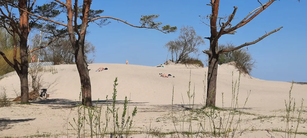 Гостевой дом с лаунж зоной, баней и чаном
