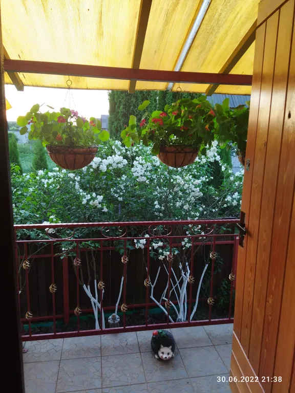 Коттедж Коттедж Наедине с природой — Минск