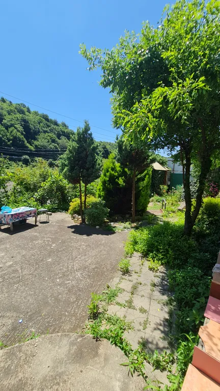 Комната Голубая на черном море с выходом в Карликовую рощу