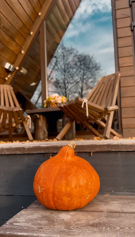 Коттедж Дом с видом на реку — Толстобино