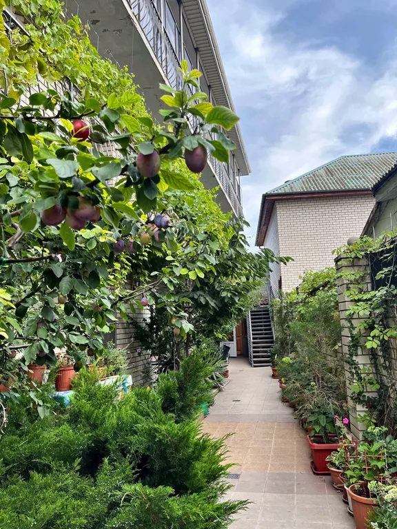 Квартира Комната с видом на море — Феодосия