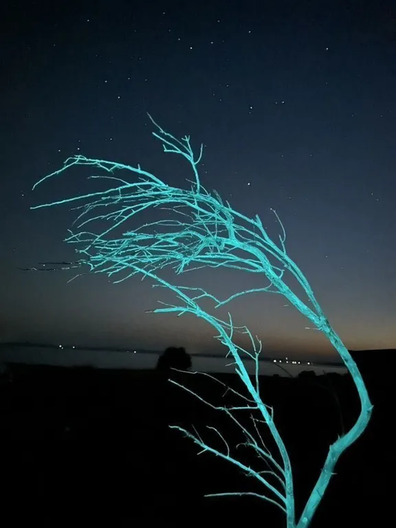 Дом на берегу Волги